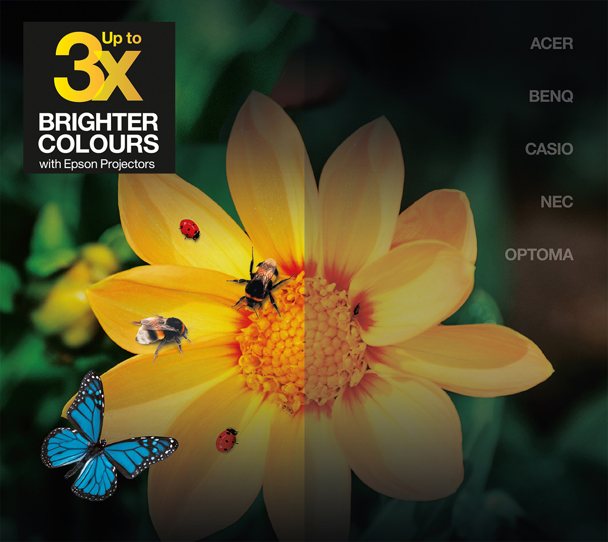 Epson Farbhelligkeit | Vergleich von Epson Projektoren mit anderen Herstellern