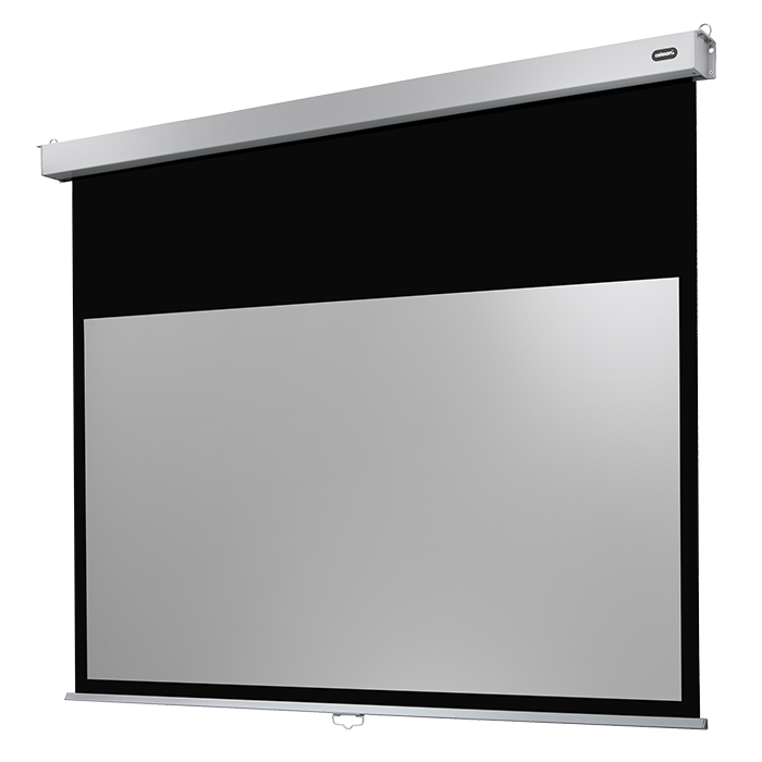 celexon Rollo Professional screen