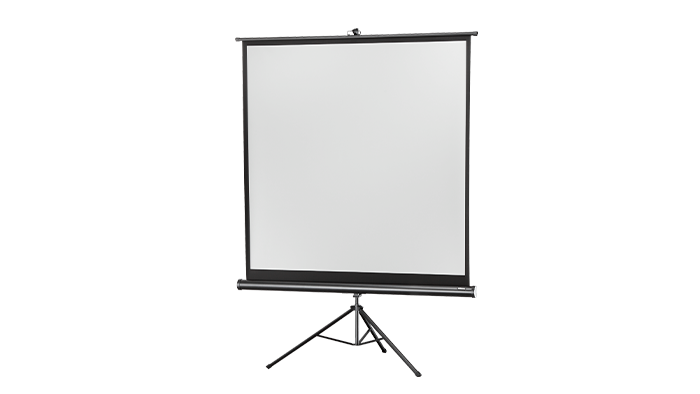 celexon tripod screen Economy