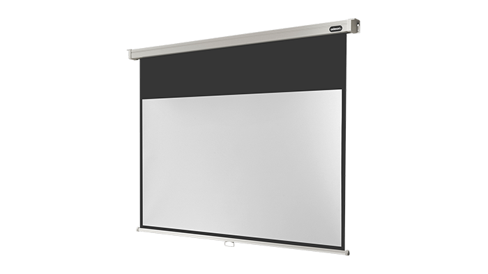 celexon Rollo Professional screen