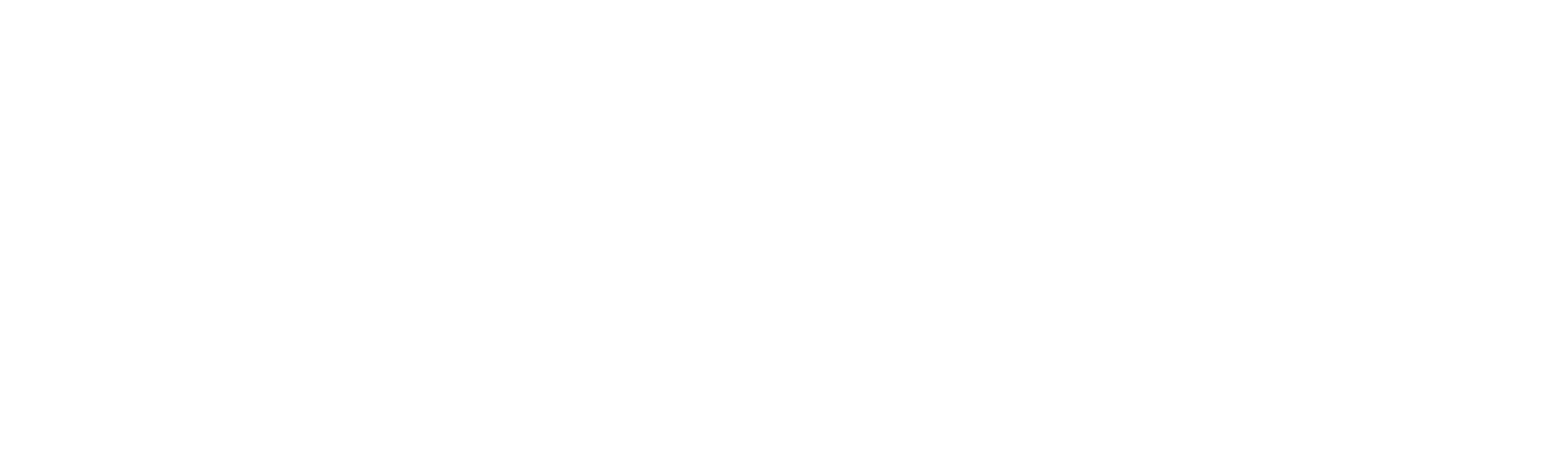 visunext Logo