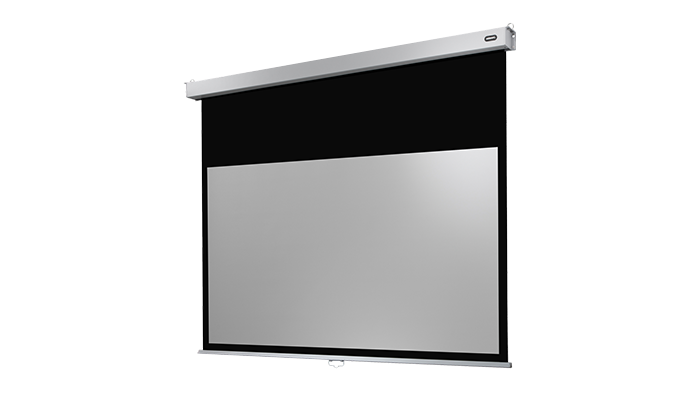 celexon Rollo Professional Plus projection screen